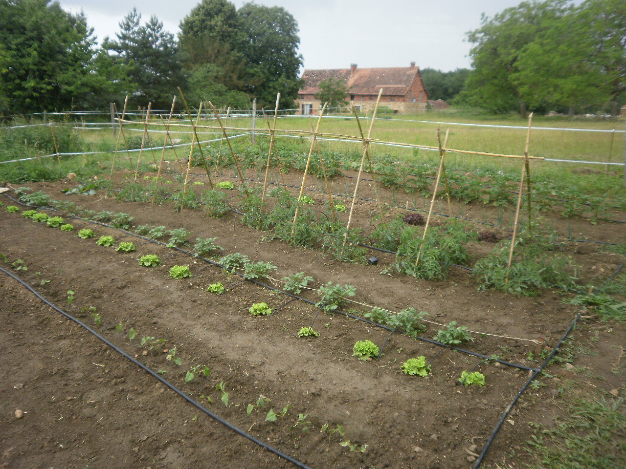 Produits de la ferme